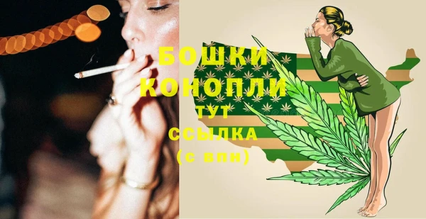 PSILOCYBIN Елабуга